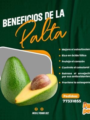 Palta